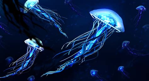 Underwater photography of blue jellyfishes HD wallpaper | Wallpaper Flare