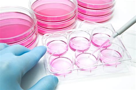 Paper: Application of Gas Mass Spectrometry in Mammalian Cell Cultures