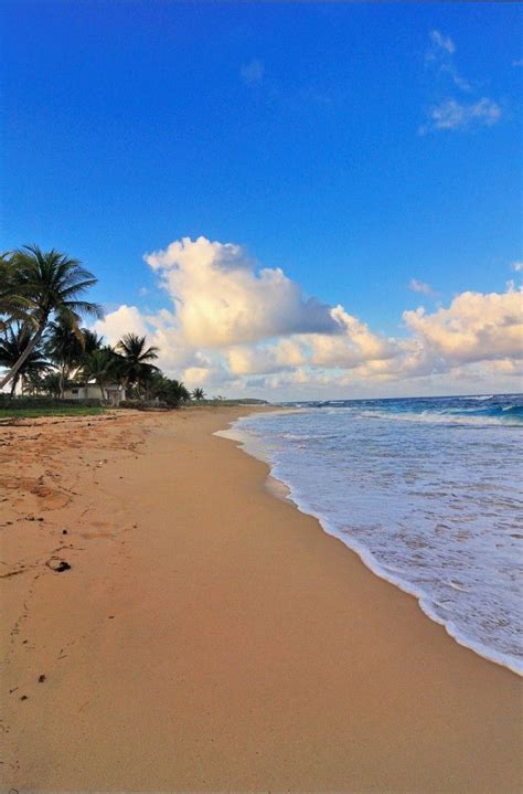 Jamaica’s Best Beaches: My Top 10 Picks | Amazing places on earth ...