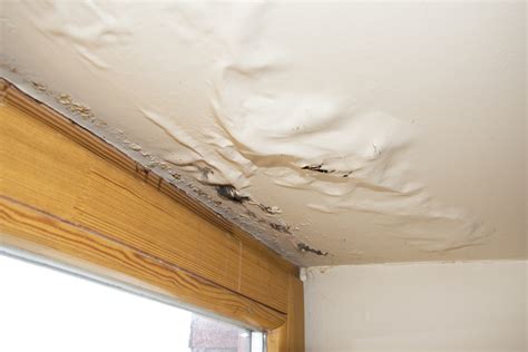 Can a leaking ceiling collapse? - AllCoast Roofing Gold Coast