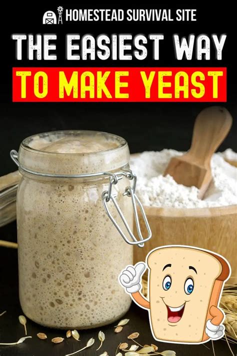 The Easiest Way to Make Yeast | Yeast starter, Wild yeast, Yeast