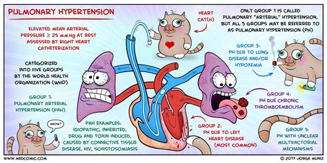 Pulmonary Hypertension | Medcomic