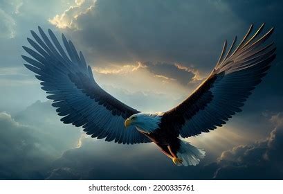 Eagle Flying Above Sky Stock Illustration 2200335761 | Shutterstock