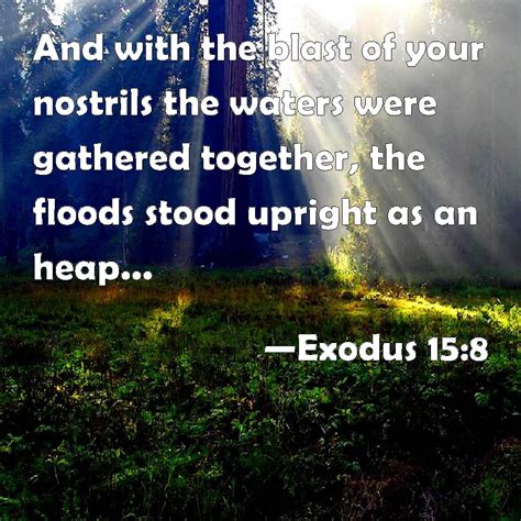 Exodus 15:8 And with the blast of your nostrils the waters were gathered together, the floods ...