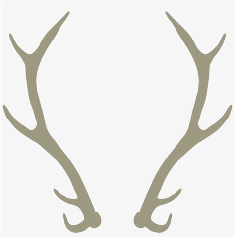 Elk Antler Vector at Vectorified.com | Collection of Elk Antler Vector free for personal use