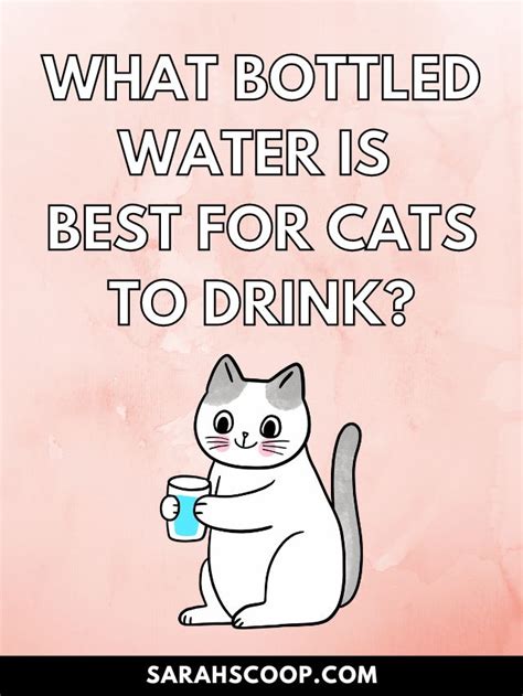 What Bottled Water is Best For Cats to Drink | Sarah Scoop