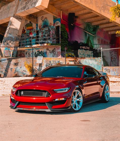 Ford Mustang Shelby GT-350 [1440x1698] : r/carporn