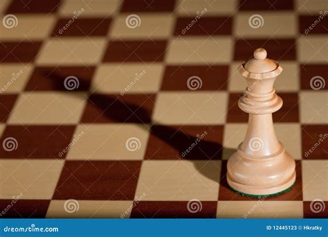 Chess Piece - a White Queen on a Chessboard. Stock Image - Image of ...