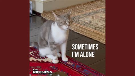 Sometimes I'm Alone (Lonely Cat) - YouTube Music