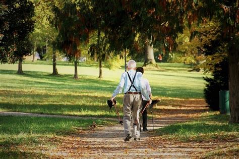 Walking After Dinner - Healthy Hildegard