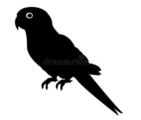 Silhouette Parrot Head Looking Left Stock Vector - Illustration of graphic, shape: 50652497