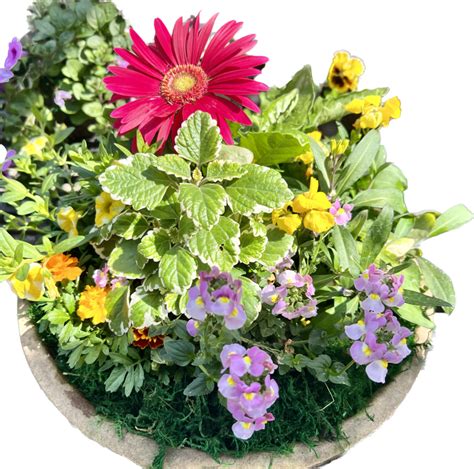 Planters for Mother's Day - Planters Place