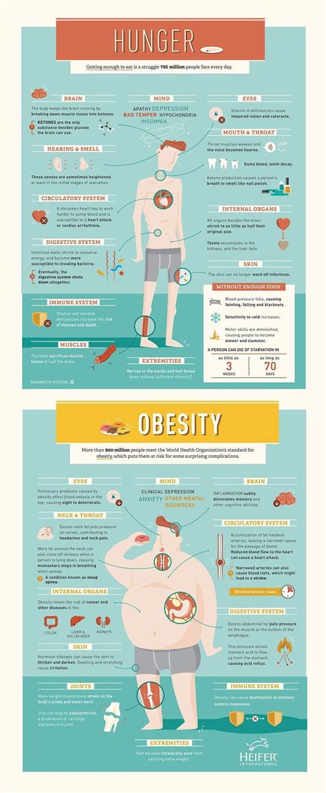 Food infographic - How do hunger and obesity affect the body? Our latest #infographic has the ...