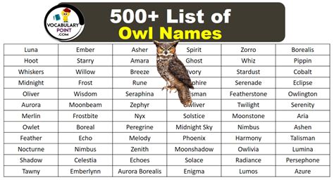 500+ Best Owl Names (Cute, Funny & Fantasy) - Vocabulary Point