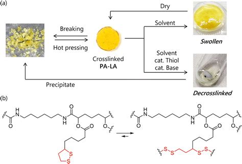 Passerini polymerization of α-lipoic acid for dynamically crosslinking ...
