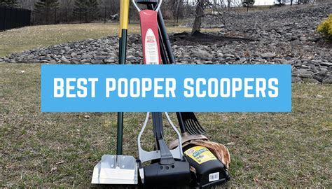 Best Pooper Scooper [Hands On Reviews!] – Woof Whiskers