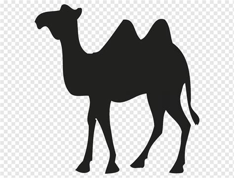 Dromedary Bactrian camel Sticker Logo, design, logo, wildlife, sticker png | PNGWing