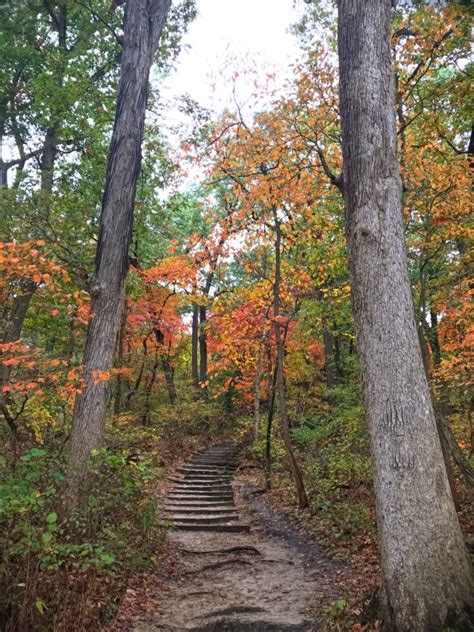 Starved Rock hiking: 12 best Starved Rock trails you should do