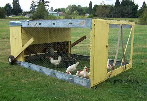 Chicken Tractor 101: What It Is & the Basics of Building One - Modern ...