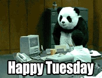 Tuesday Gif - IceGif