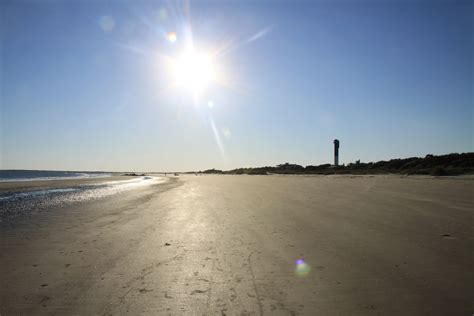 Dogs on the Beach at Sullivan’s Island | Sullivan's Island Property