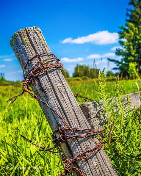 fence post with rusty barbed wire