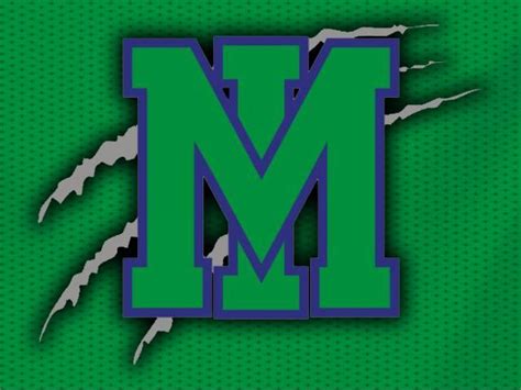 Mountain Island Charter logo