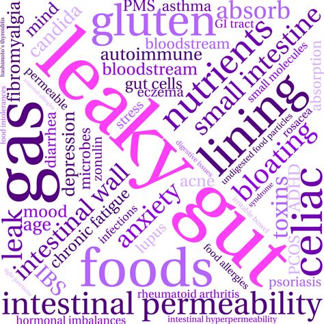 Leaky Gut Symptoms, Causes and Tests