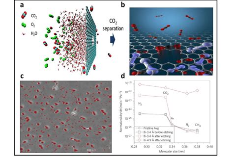 Separation of CO 2 though NPG membrane; (a, b) theoretically nanopore:... | Download Scientific ...