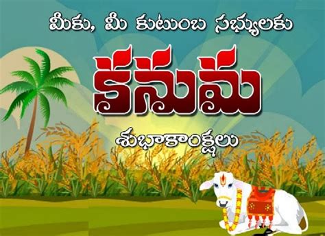 Patamata Praneel: HAPPY KANUMA FESTIVAL