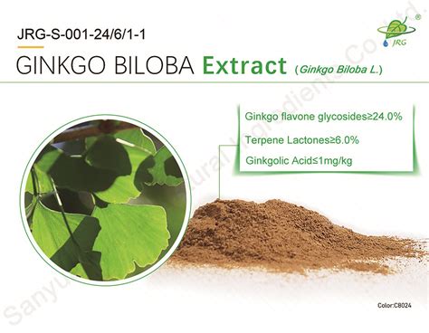 Ginkgo Biloba Extract - Jinrui Group