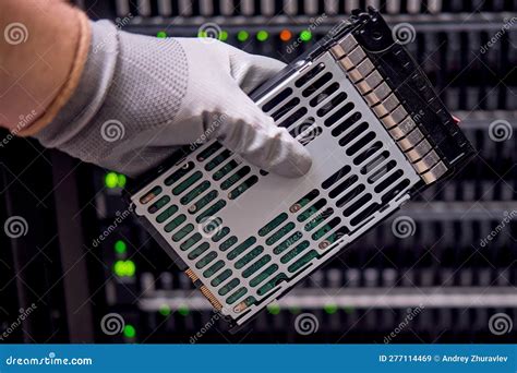 A Hard Disk for a Raid in the Hands of a Man at a Data Storage Server ...