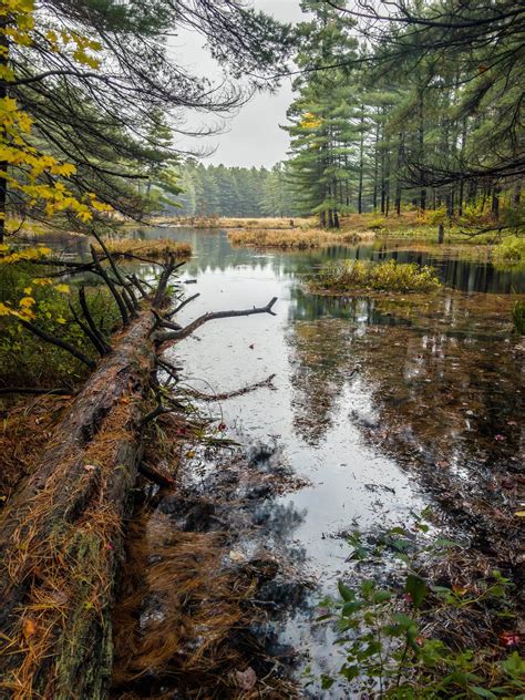 22 Best Ontario Provincial Parks for Camping, Hiking and Paddling