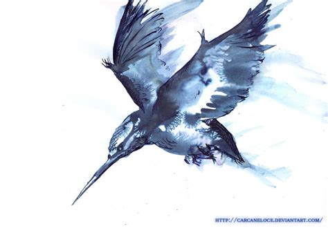 Flying Halcyon by Carcaneloce on DeviantArt