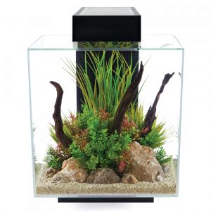 Fluval Edge 12 gallon aquarium | The Animal Store