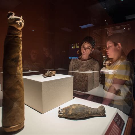 Mummies Of The World Exhibit Tour Schedule 2024 Usa - Ted Opaline