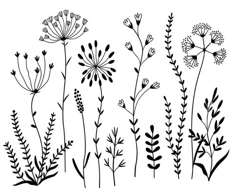 Wildflowers Clipart and Stamps. Digital Clipart. Clip Art Flowers. Digital brushes. Digital ...