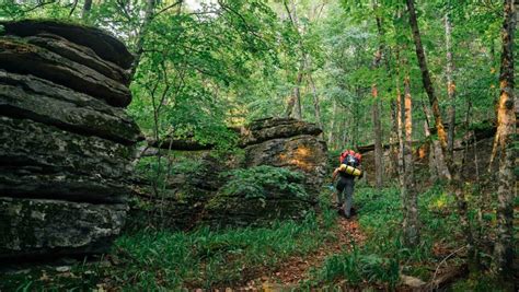 Hike the Buffalo River Trail | Buffalo Outdoor Center