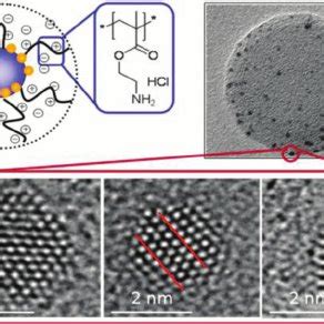 Structure of the composite particles used in the kinetic studies ...