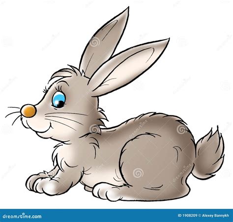 Grey Rabbit Royalty Free Stock Images - Image: 1908209