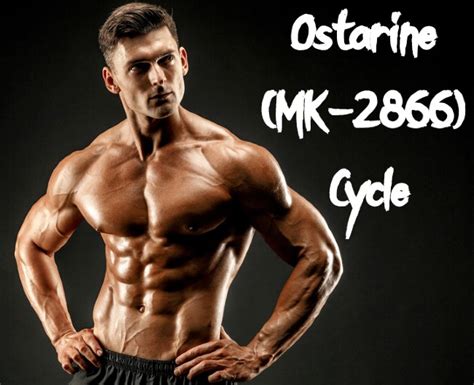 What Is Ostarine (MK-2866)? – Cycle, Benefits, Dosage, And Side Effects