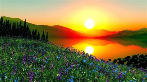 Beautiful Sunrise Wallpaper - WallpaperSafari