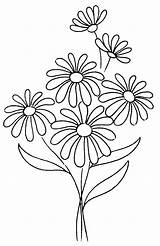 Tres Margaritas Para Colorear Imprimir E Dibujar –ColoringOnlyCom sketch template