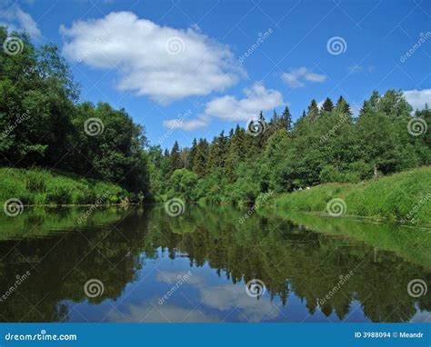 Dubna river stock photo. Image of tranquil, lush, leaf - 3988094