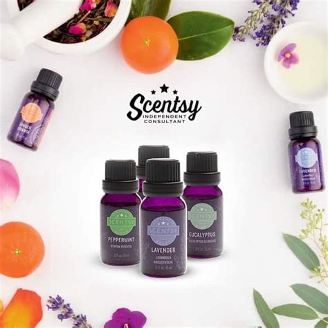 Natural and Essential Oils | Scentsy oils, Scentsy essential oils, Scentsy fragrance