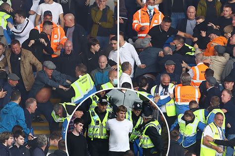 Millwall fans fight in stands as police and stewards step in to break ...