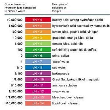 Ph Value of Hydrochloric Acid - Lexi-has-Chavez