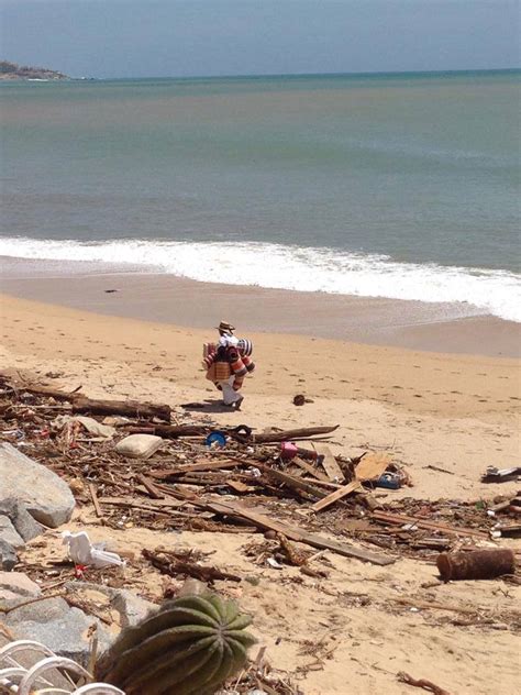 ‘Amazing’ cleanup effort in Cabo San Lucas following Hurricane Odile ...