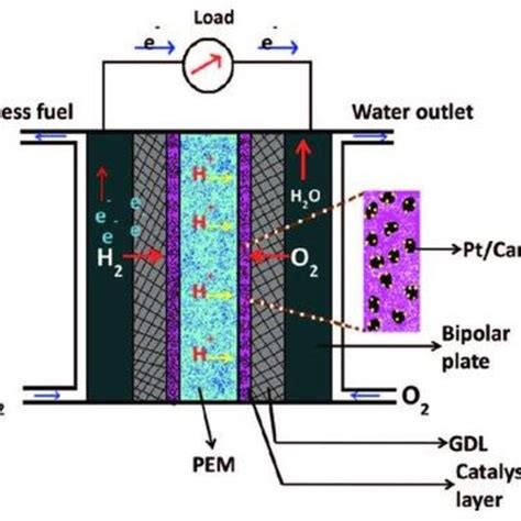 Schematic representation of a molten carbonate fuel cell (MCFC). | Download Scientific Diagram