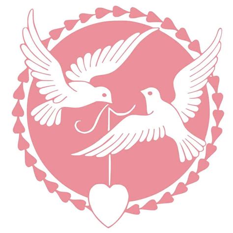 Dove Symbolism & Pigeon Meaning